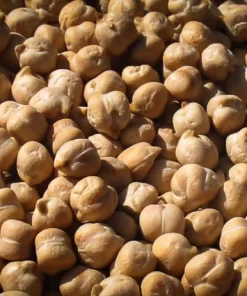 Garbanzo Bean (Chickpea)