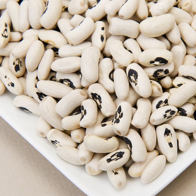 European Soldier Beans