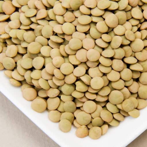 Large Green Lentils