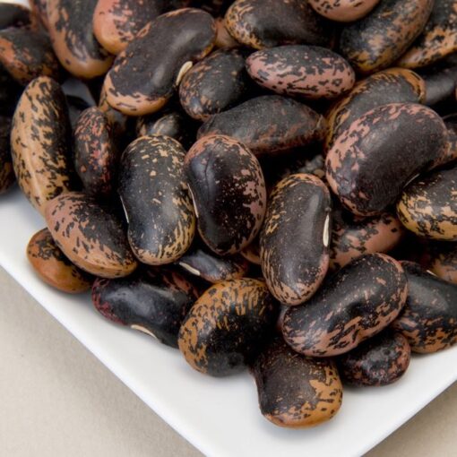 Scarlet Runner Beans